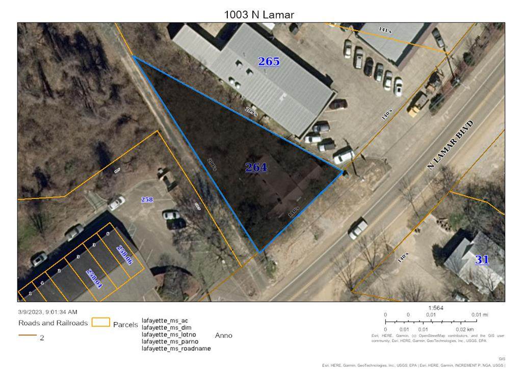 1003 N Lamar - Photo 1