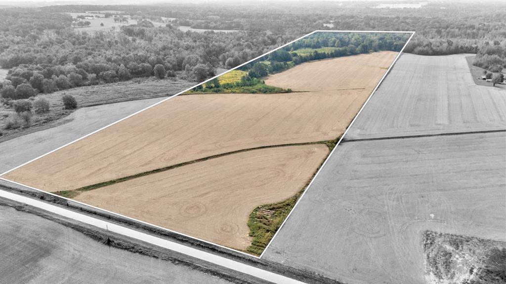 123456 County Road 208 - Photo 1