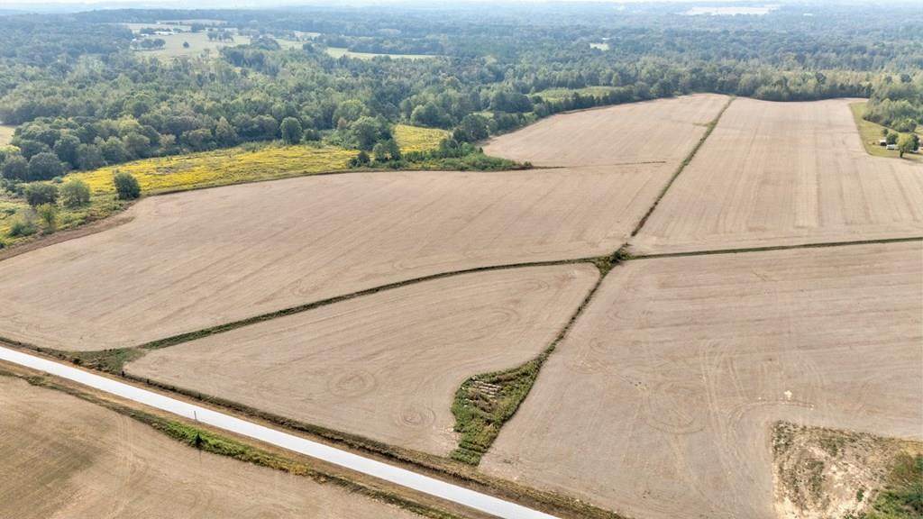 12345678 County Road 208 - Photo 1