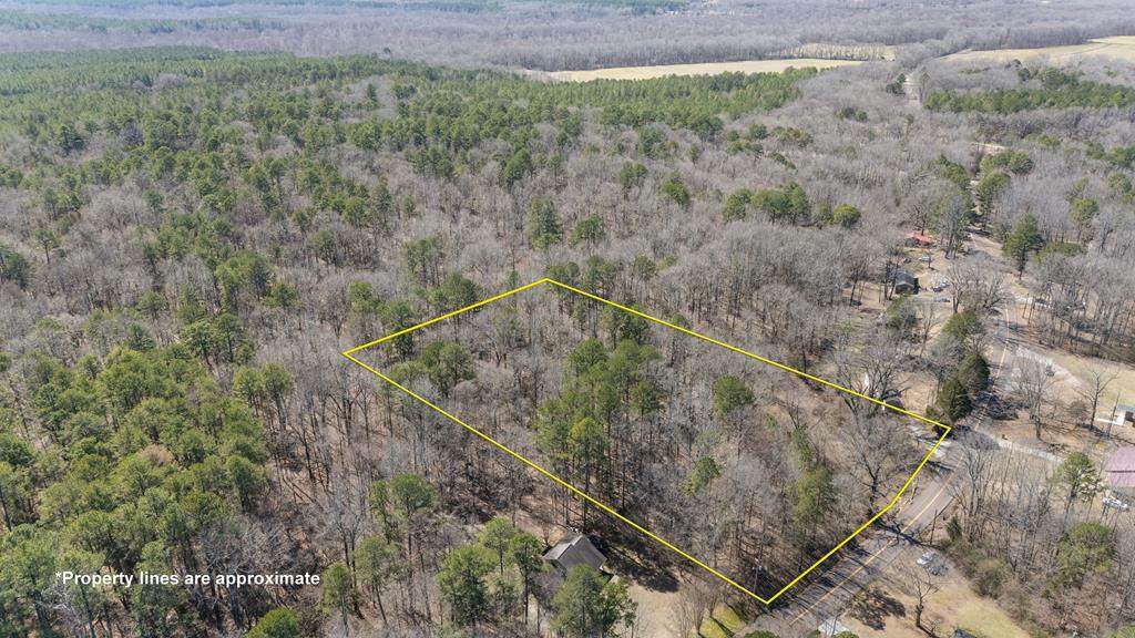 62 County Road 198 - Photo 1