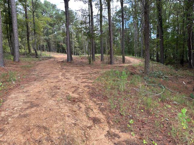 1060 Hwy 6 W - Photo 1