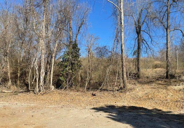 15944 Brownsferry Road - Photo 1