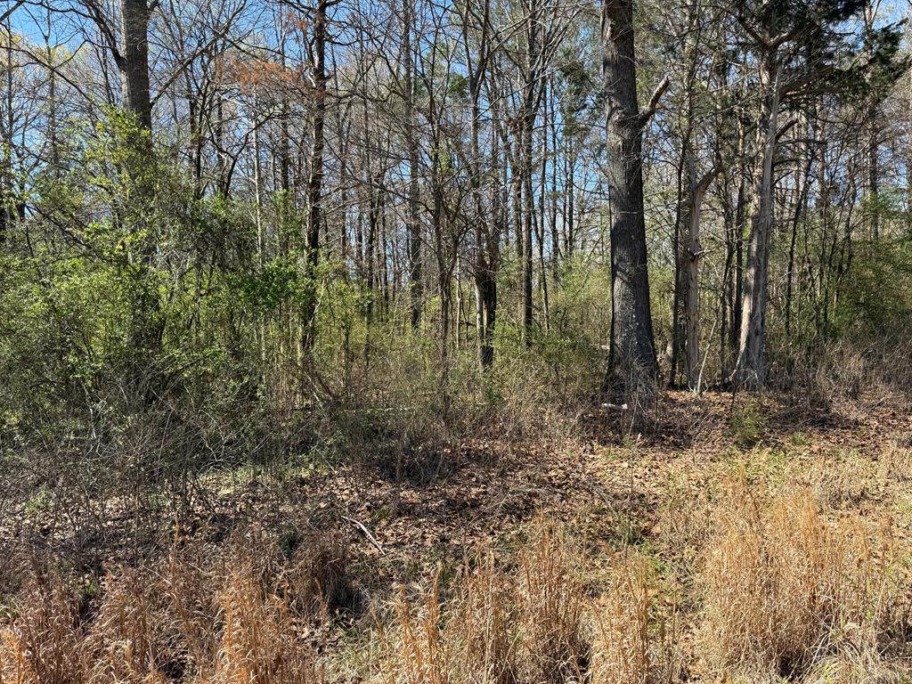 000 Country Oaks Circle - Photo 1