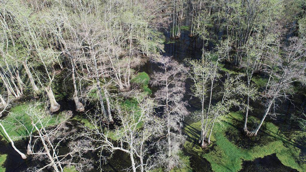 000 County Road 420 - Photo 1