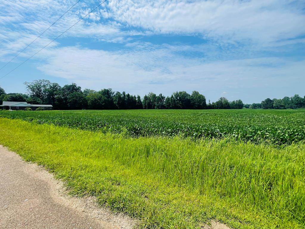 TBD Cr 428 - Photo 1