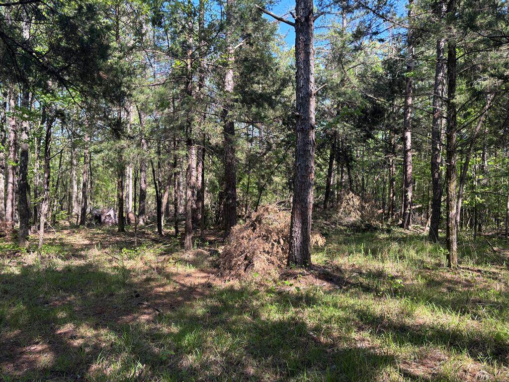 00 Hobby Coop Road - Photo 1