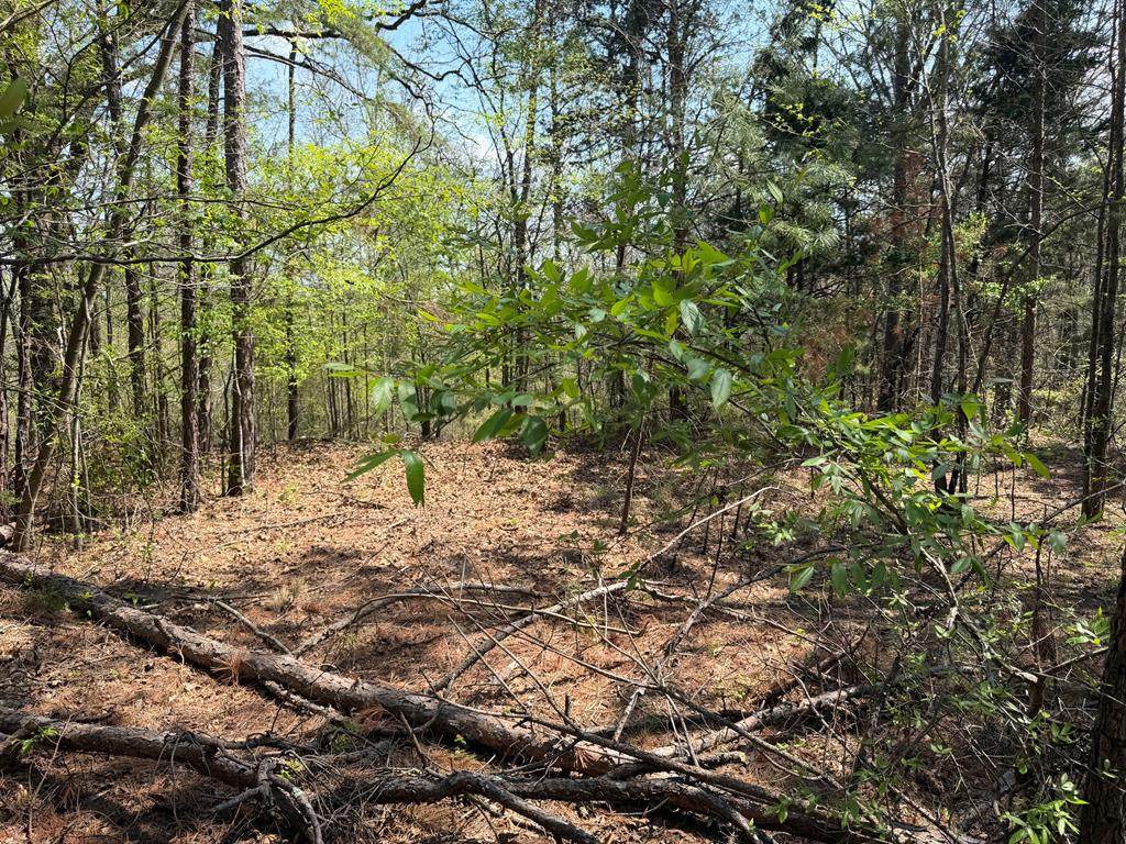 000 County Road 124 - Photo 1