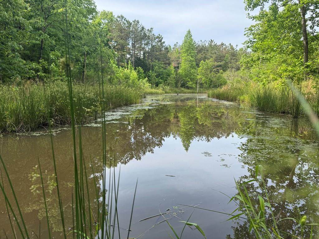 759 Hwy 9 - Photo 1