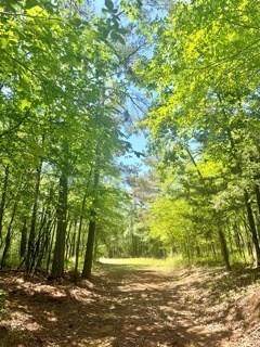 40 Acres Cr 450 & Cr 473 - Photo 1