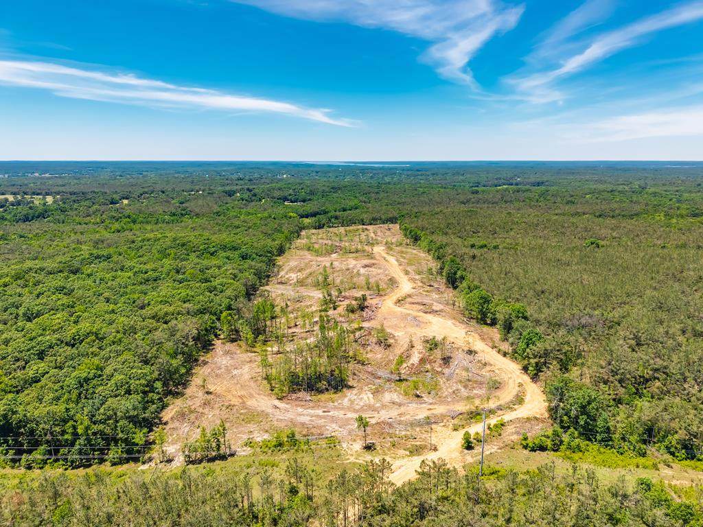 40 ac County Road 118 - Photo 1