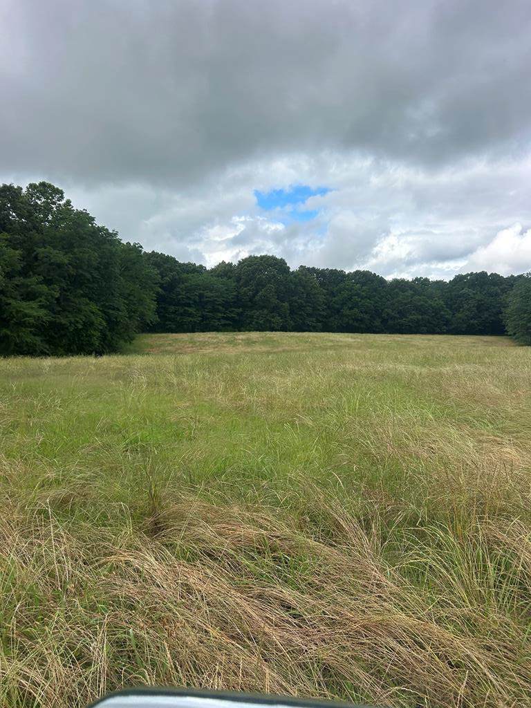 4461 Hwy 305 South - Photo 1