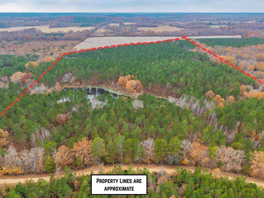 57.9 ac County Road 291 - Photo 1