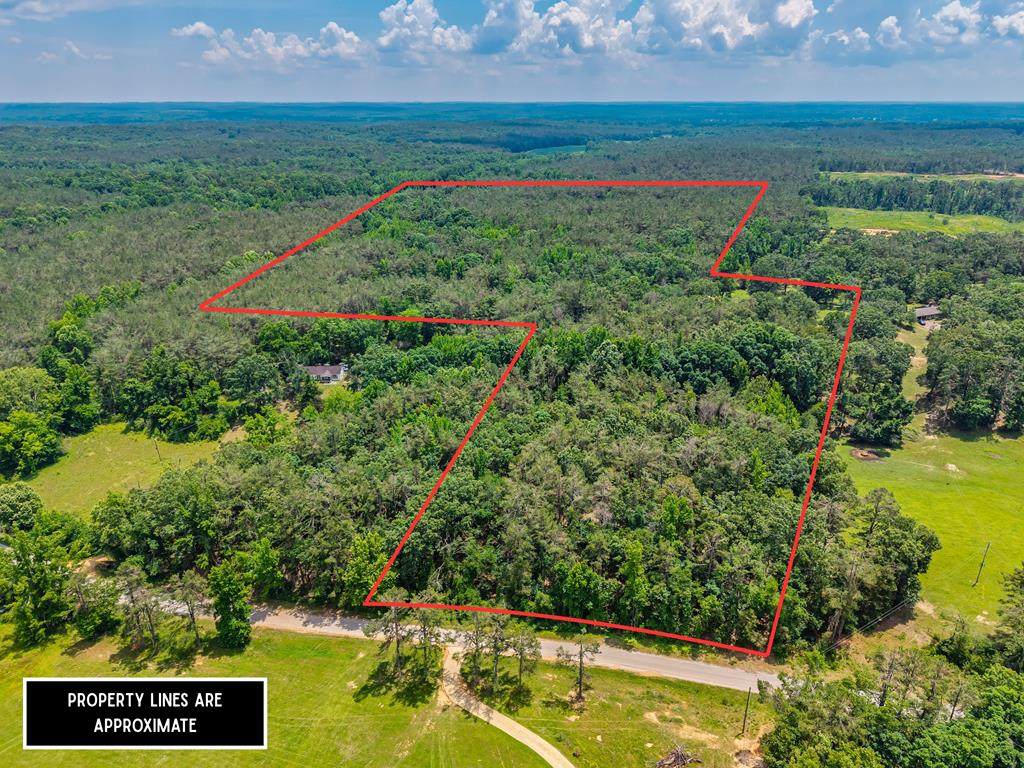 20.5 ac County Road 224 - Photo 1