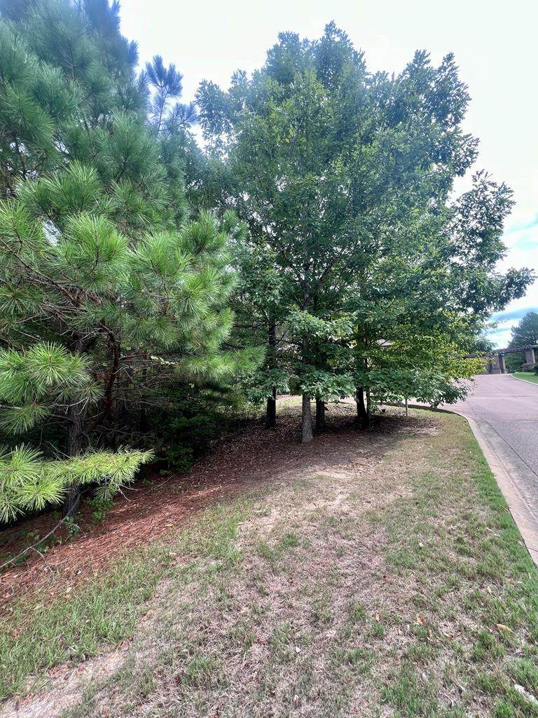 Lot 8 Tuscan Hills Dr - Photo 1