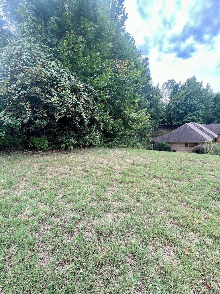 Lot 2 Tuscan Hills Dr - Photo 1