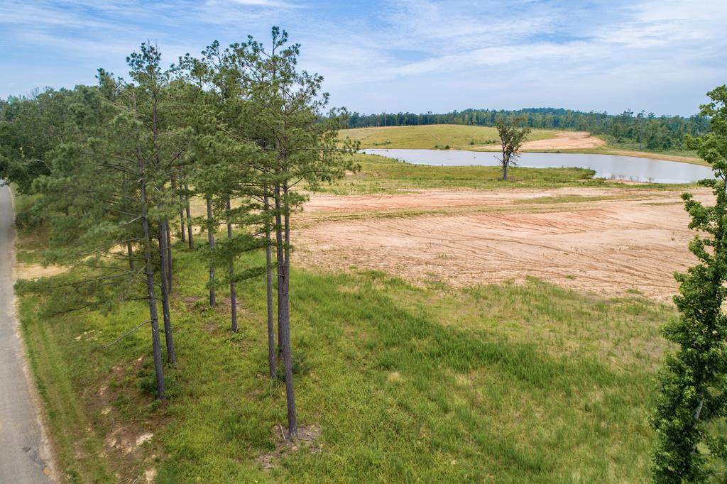 TBD County Road 107 - Photo 1