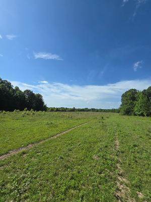 153 County Road 123 - Photo 1