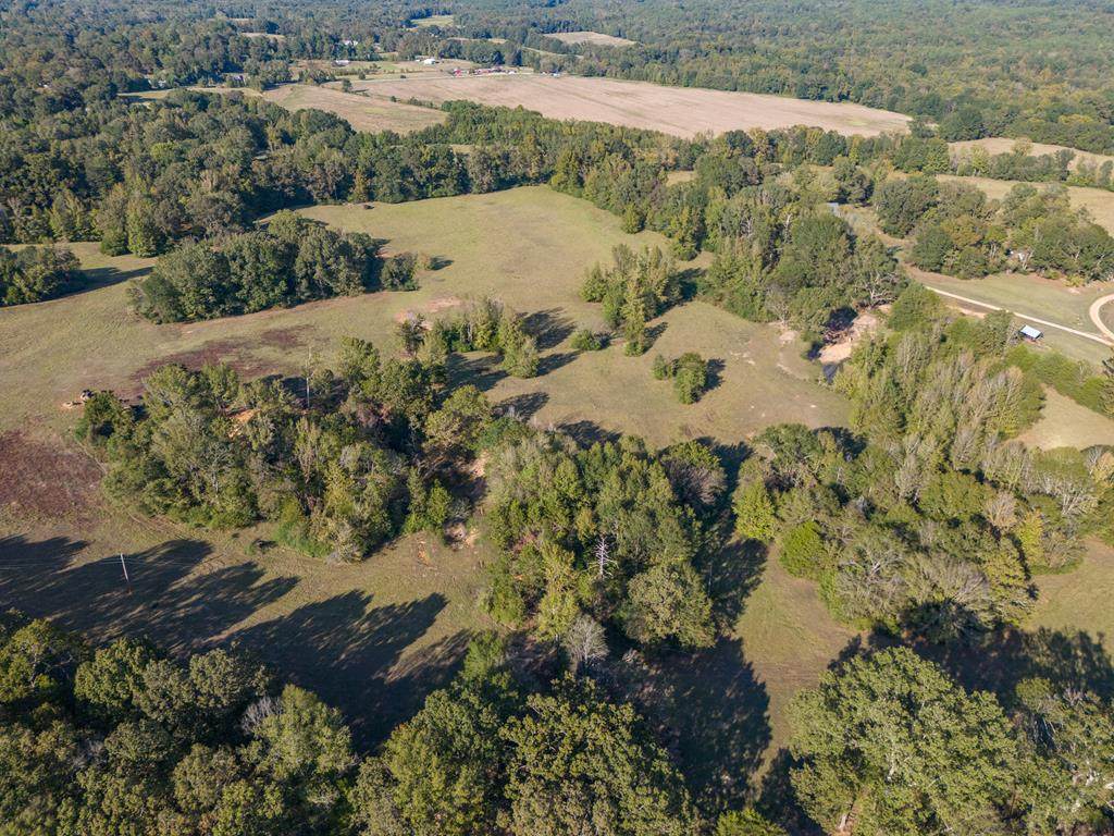 TBD County Road 313 - Photo 1