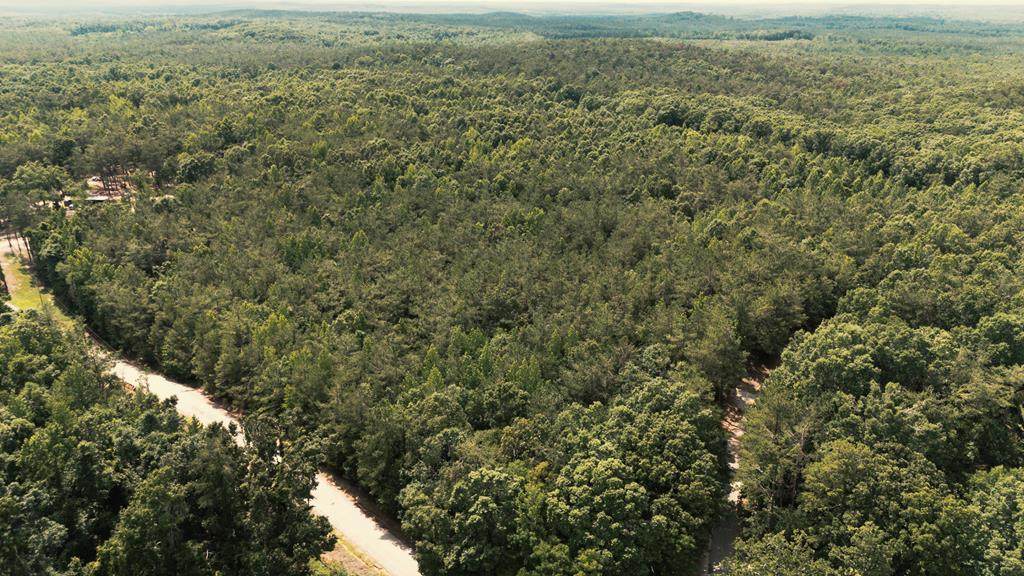 00 County Road 34 - Photo 1