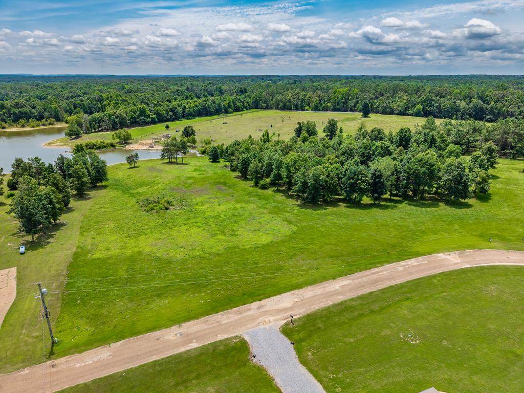 00 Brasher Rd /Hotophia Hill Dr - Photo 1