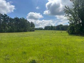 858 Hwy 331 - Photo 1