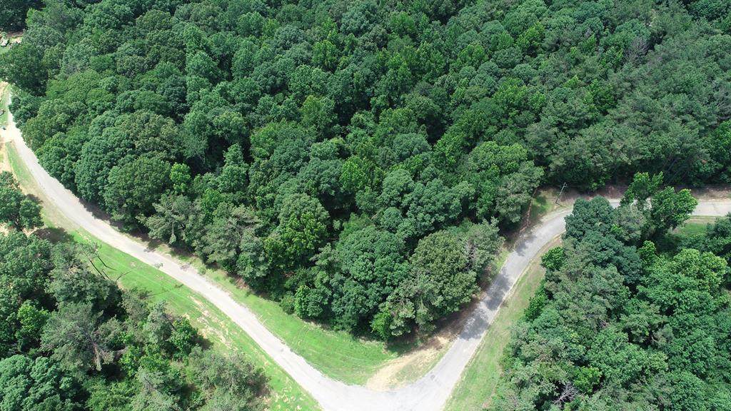 000 San Roc Road - Photo 1
