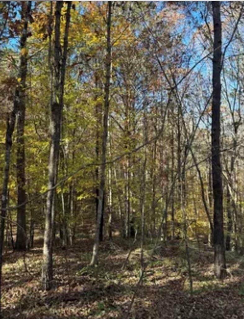 Lot 70 Highlands Cir - Photo 1