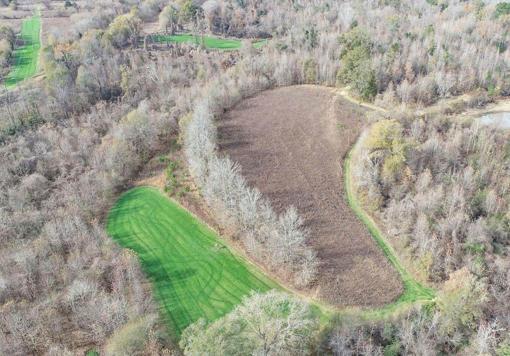 tbd Chinquapin Road - Lexington - Holmes County - Photo 1