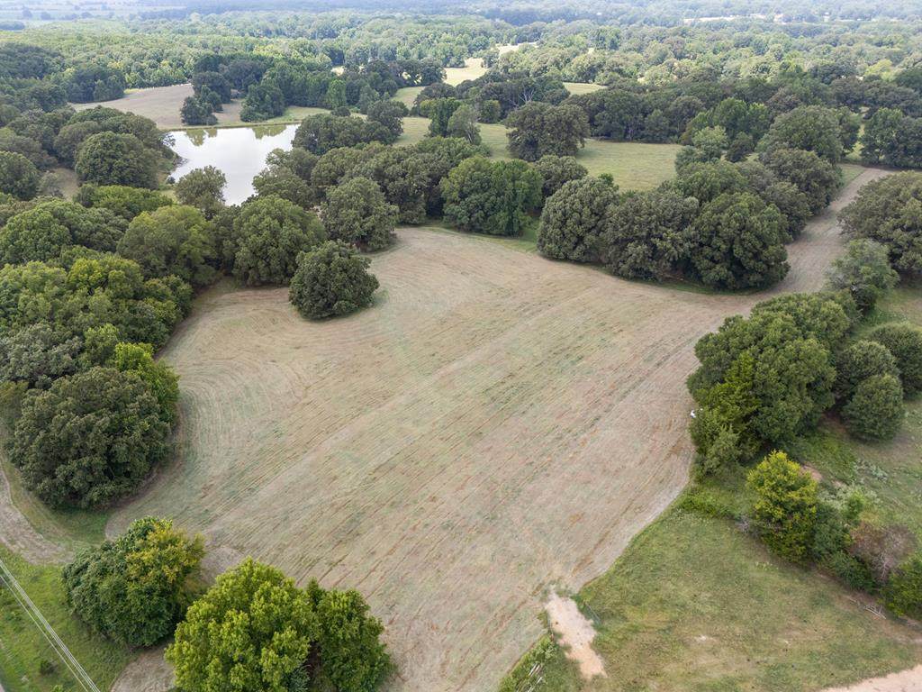 1150 Veazey Road - Photo 1
