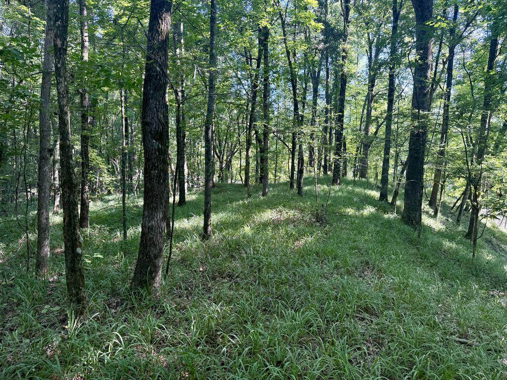 00 Hardy Rd - Photo 1