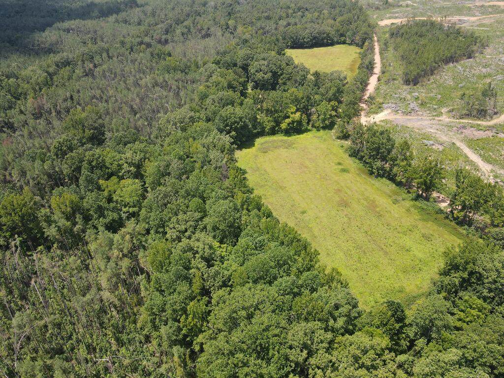 00 Country Road 428 - Photo 1