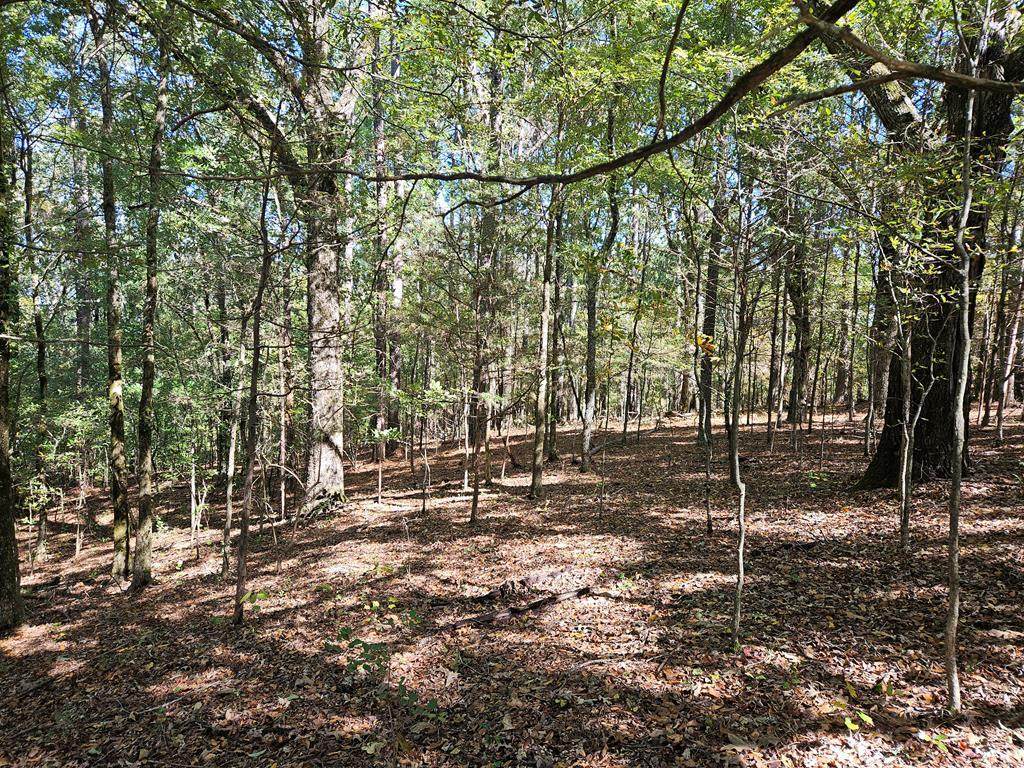 tbd Ales Rd - Photo 1