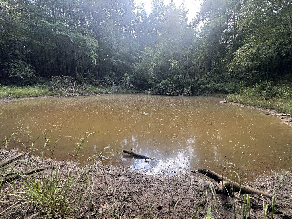 N/A County Road 1495 - Photo 1