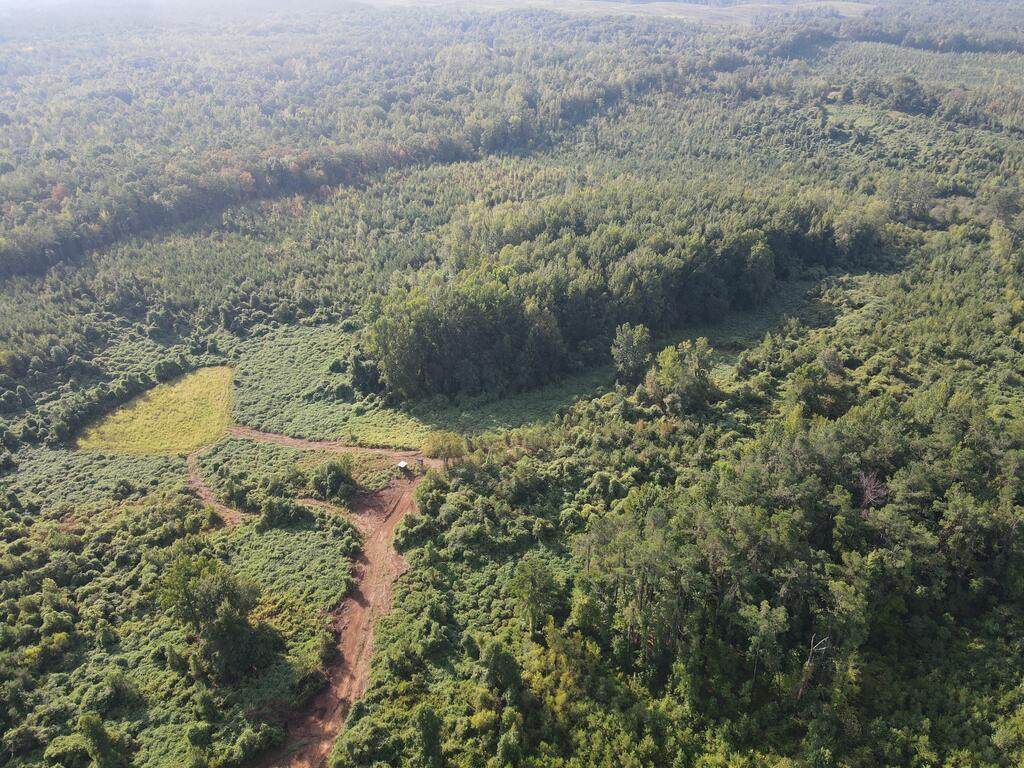 0 County Road 222 - Photo 1