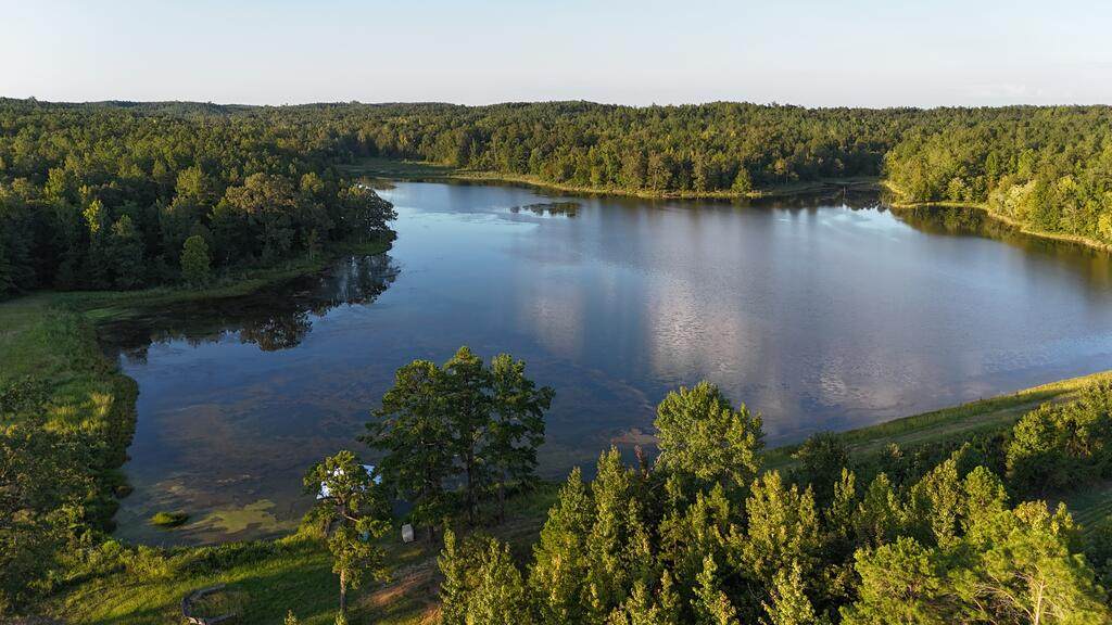00 Hwy 9 W - Photo 1