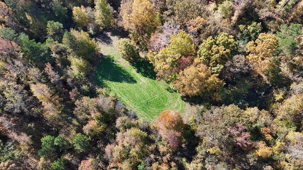3278 Hwy 310 - Photo 1