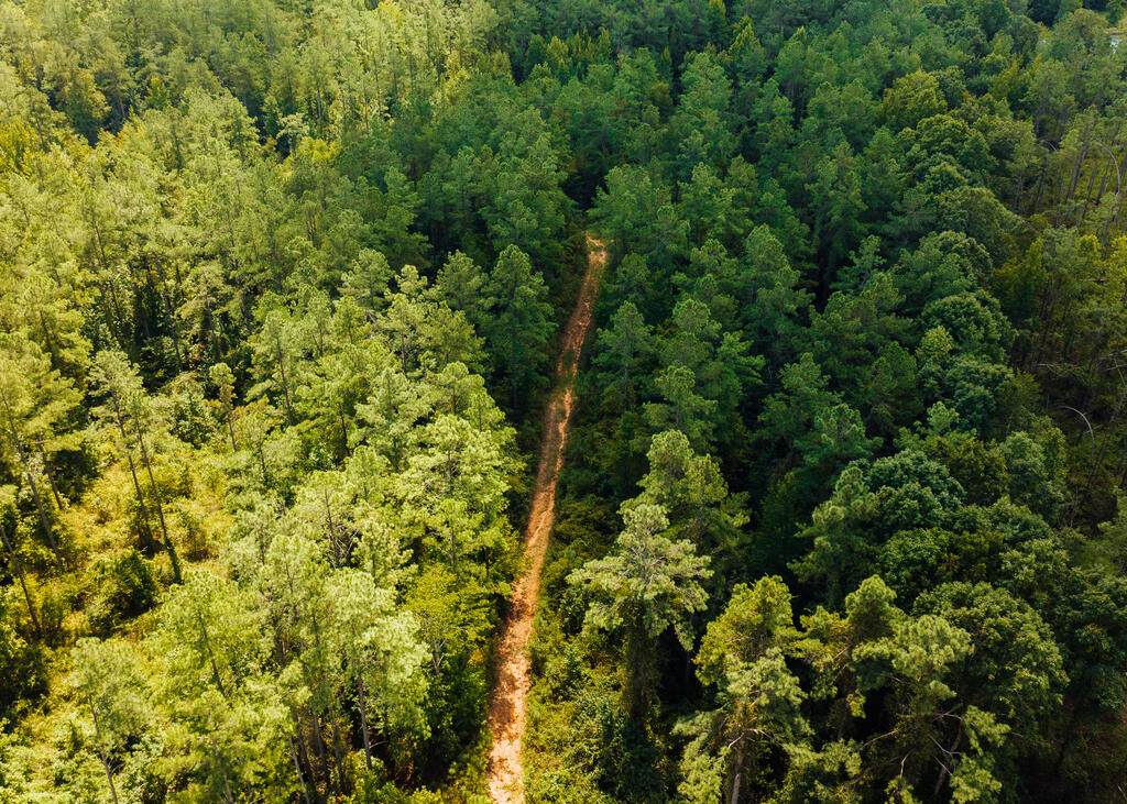 00 County Road 428 - Photo 1