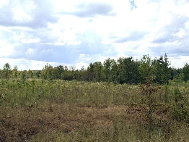 Tract 4 Hwy 334 - Photo 1