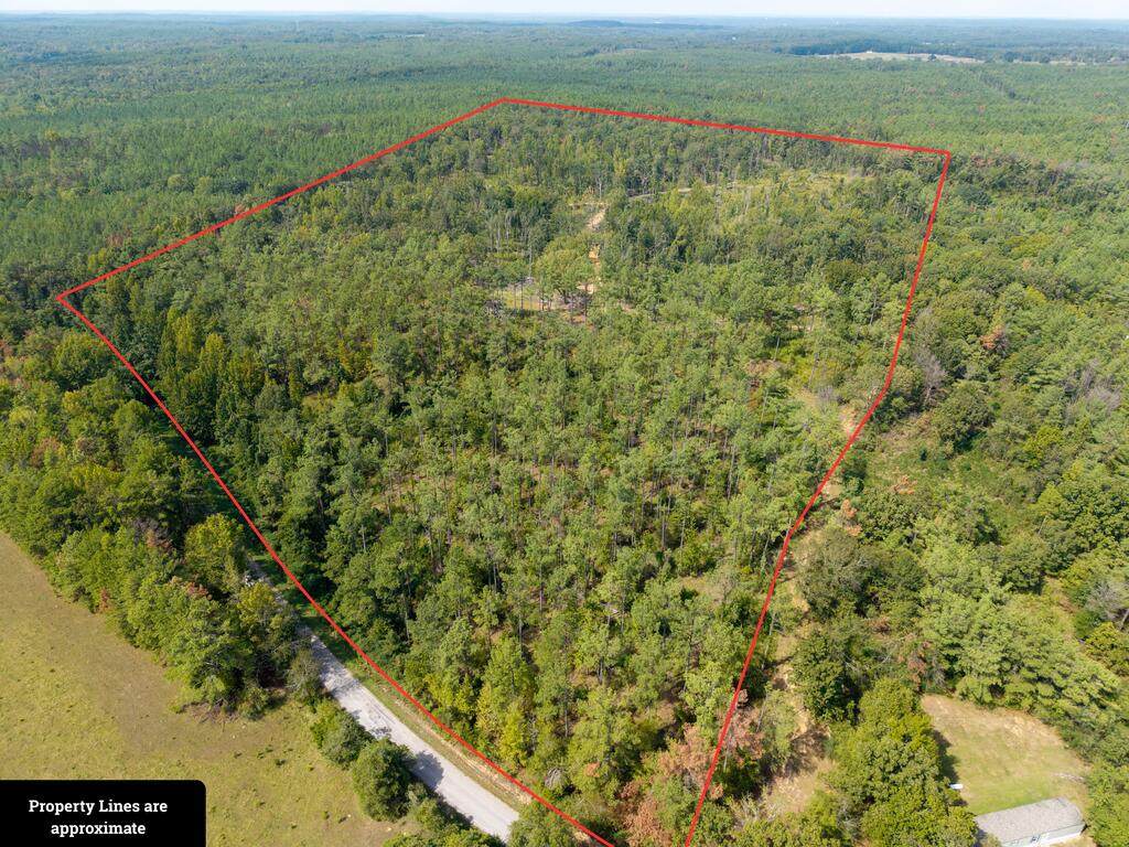 TBD County Road 15 - Photo 1