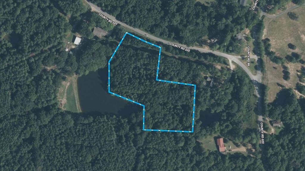 TBD County Road 220 - Photo 1