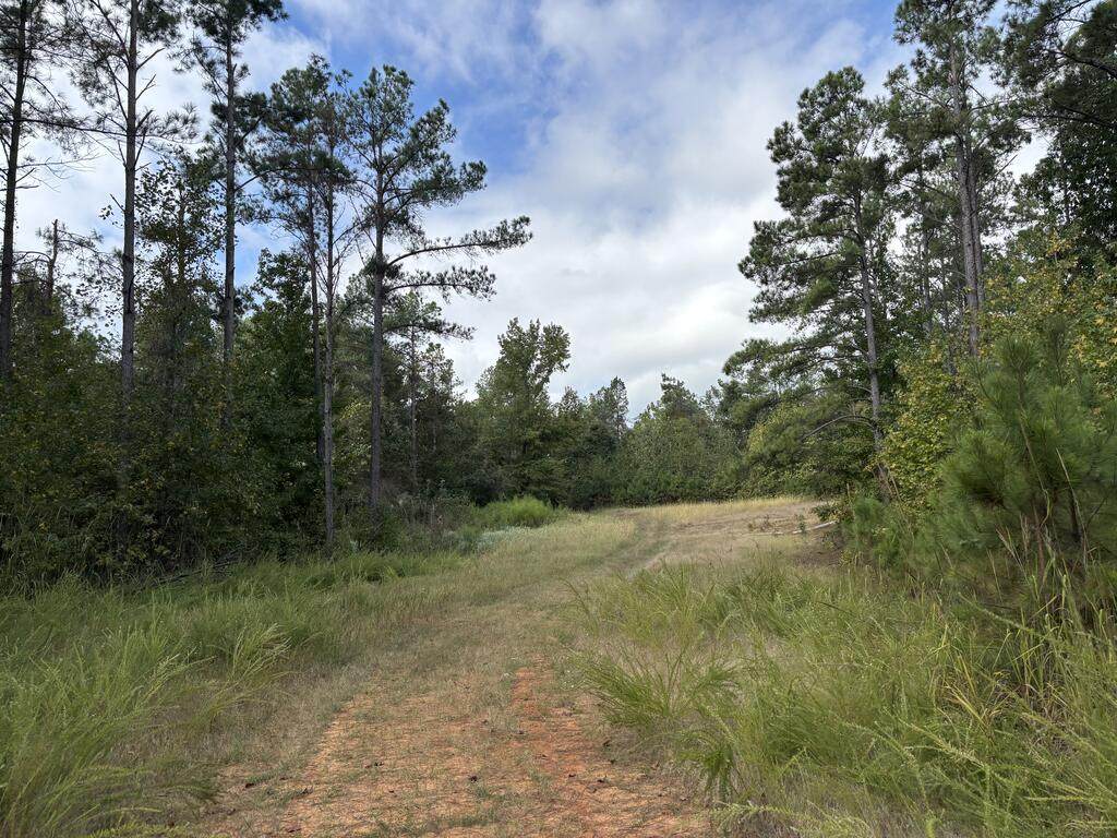 00 Hwy 331 - Photo 1