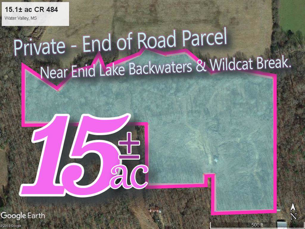 15.1ac County Road 484 - Photo 1