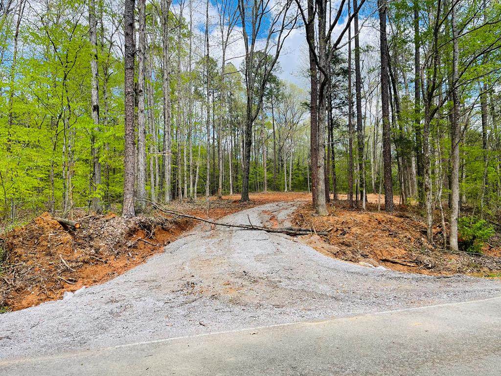 662 Cr 251 Lafayette County - Photo 1
