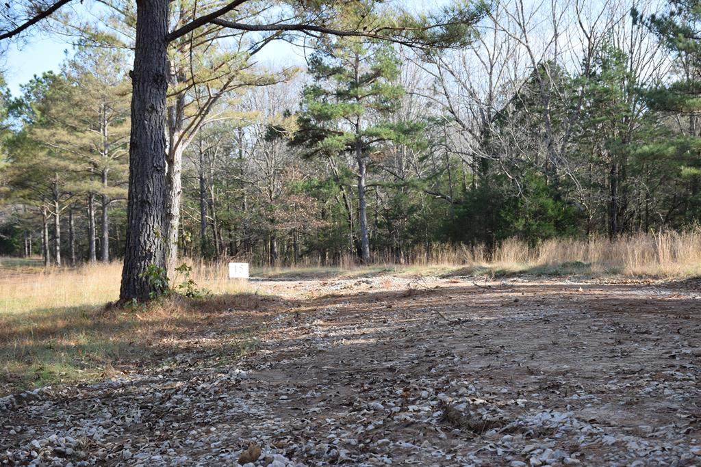 Lot 15 Leeson Cove - Photo 1