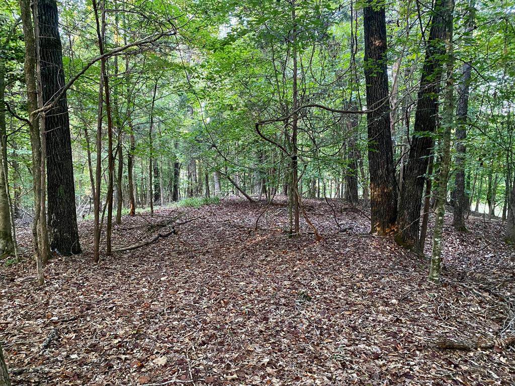 TBD Cr 415 - Photo 1