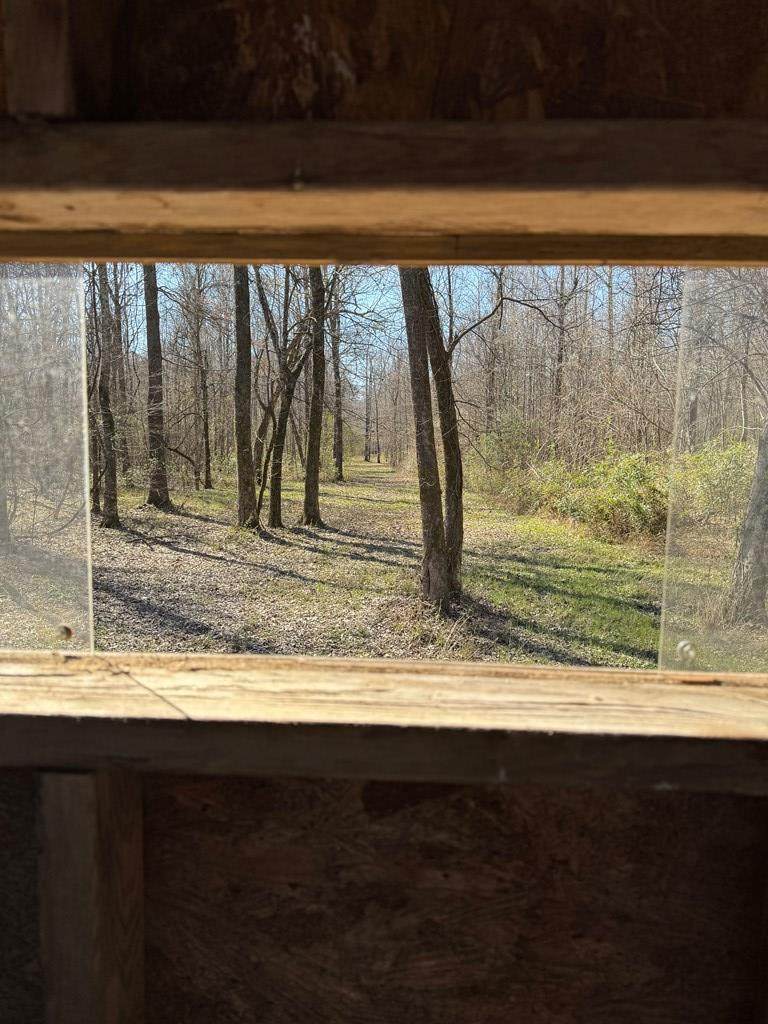 00 Curtis Rd - Photo 1