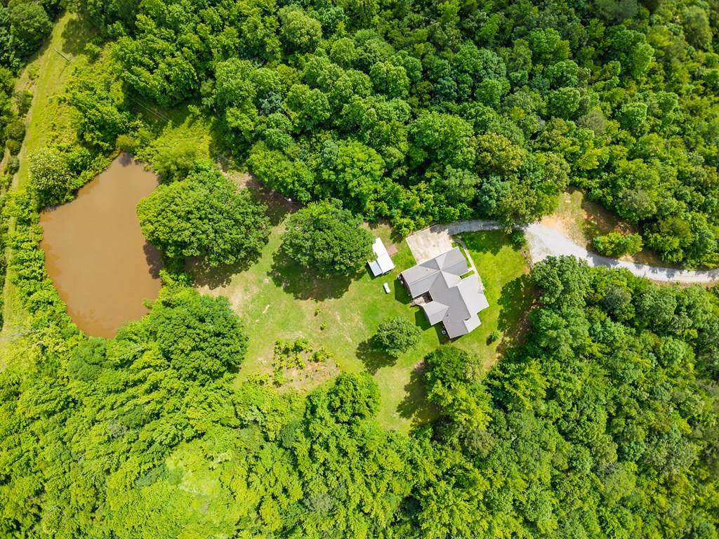 1203 County Road 92 - Photo 1