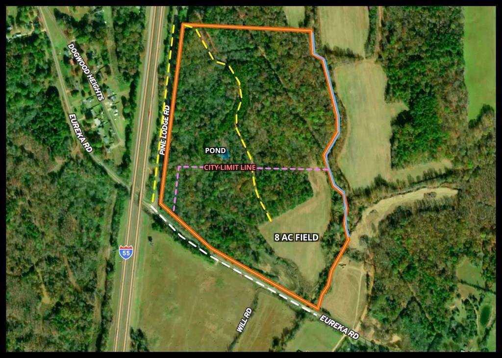 tbd Pine Lodge Road - Photo 1