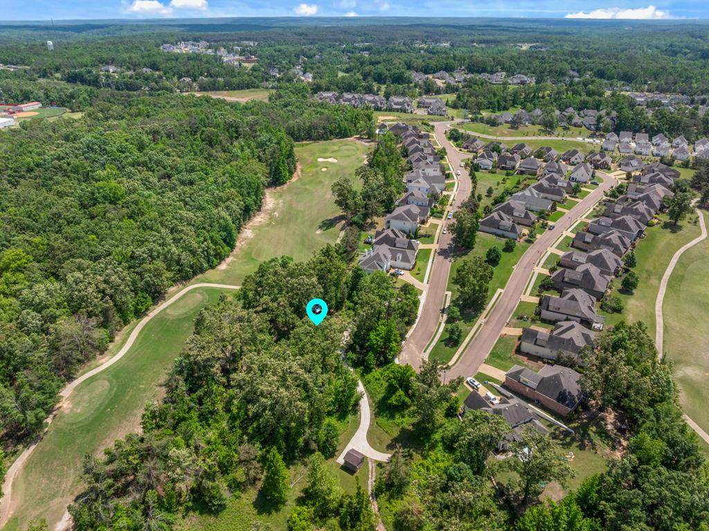 Lot 45 Rosemont Loop - Photo 1