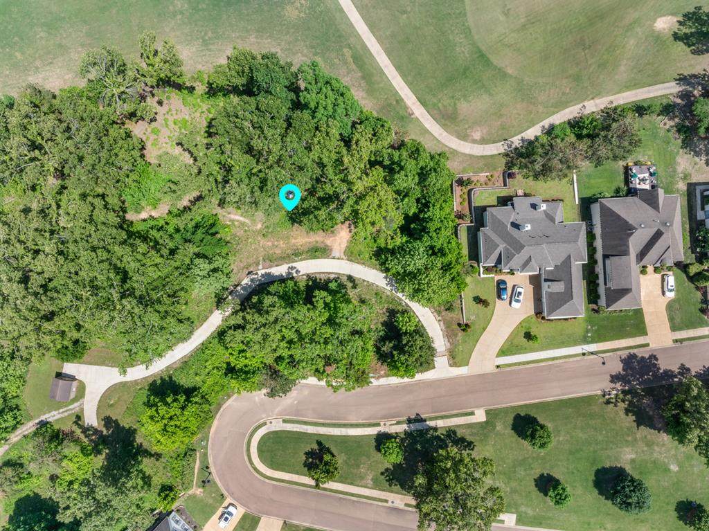 Lot 44 Rosemont Loop - Photo 1